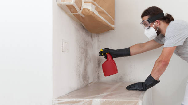 Professional Mold Testing technician working in Kings Park, NY