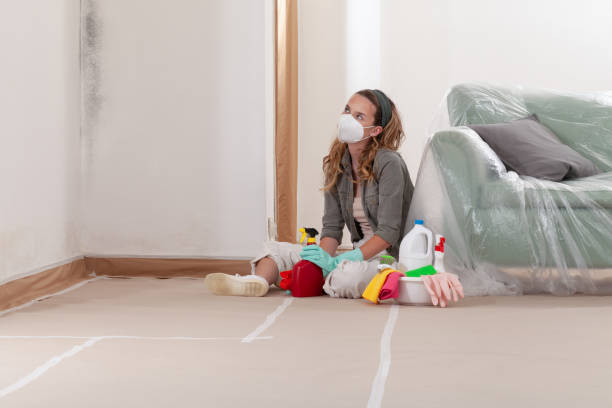 Trusted Bathroom Mold Removal service in Kings Park, NY - Cheap Mold Removal